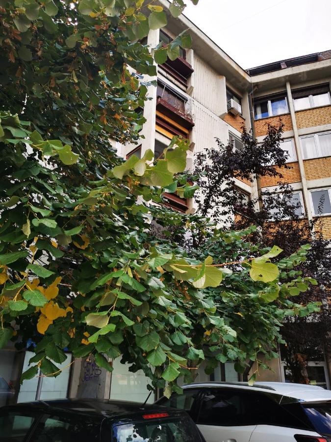 T&A Apartment Paracin Exterior photo